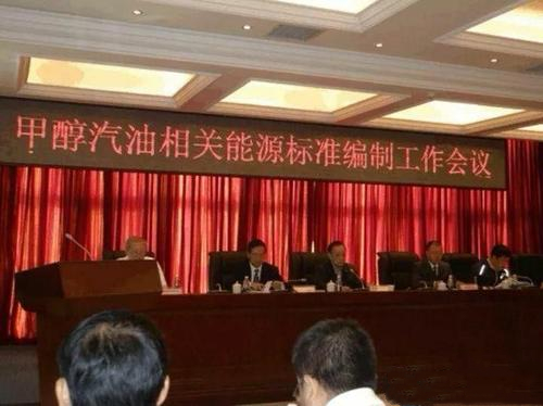 新能源甲醇燃料政策